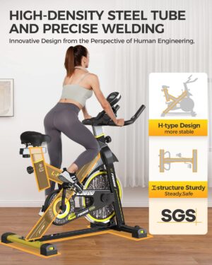 pooboo Magnetic Resistance Indoor Cycling Bike review