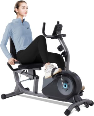 BORGUSI Recumbent Exercise Bike Review