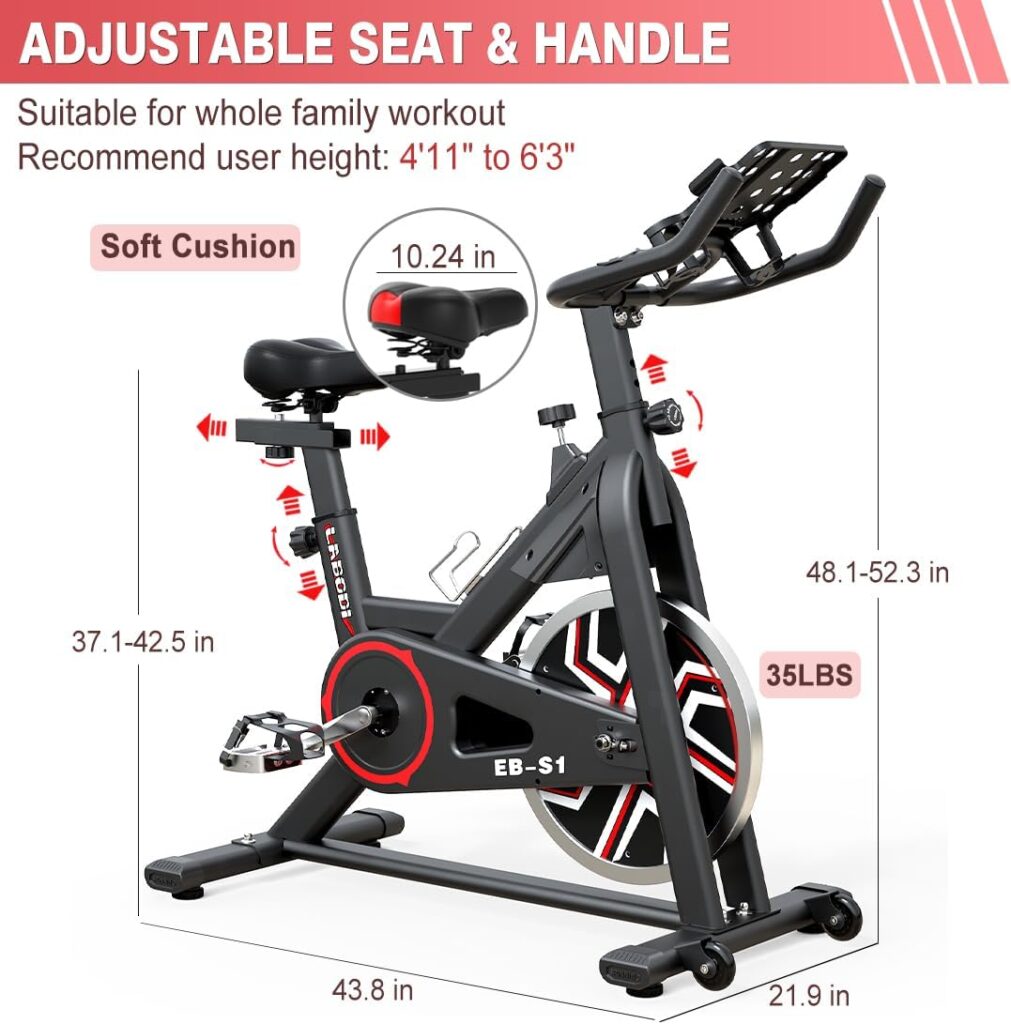 LABODI Stationary Cycling Bike, Indoor Exercise Bike with LCD Monitor, 35LBS Heavy Flywheel  Comfortable Seat, Perfect Cycle Bike for Home Gym Workout (Black Red)