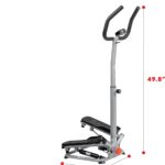 Sunny Health Twist Stepper Review