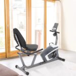 PayLessHere Recumbent Exercise Bike Review